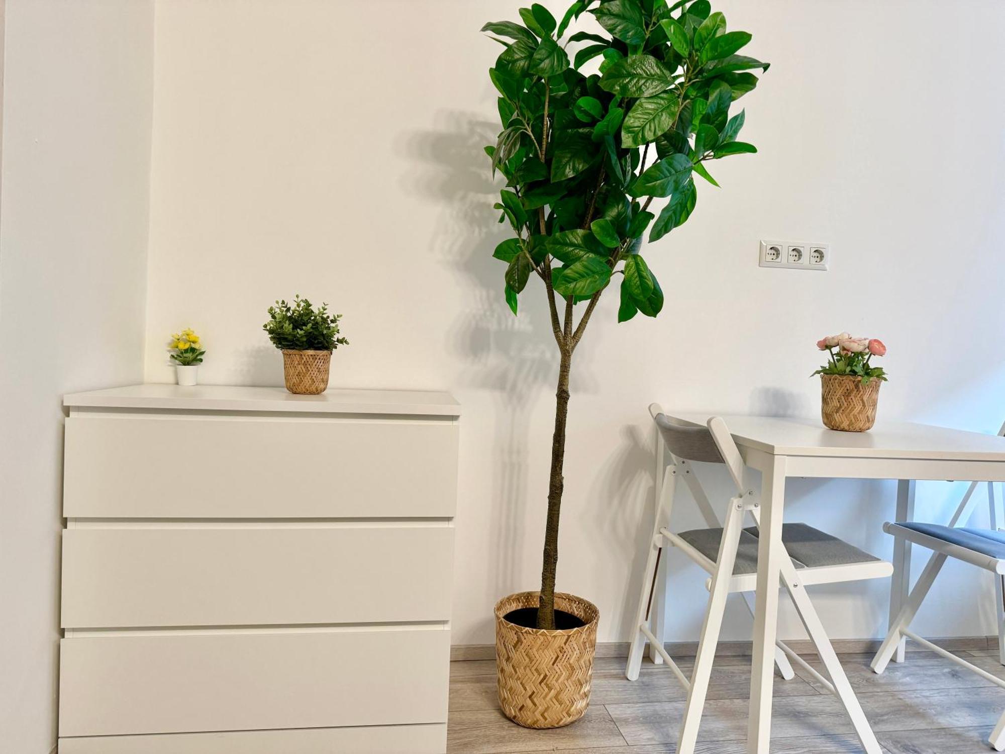 Stylish Schonbrunn Apartments With Free Parking Viyana Dış mekan fotoğraf